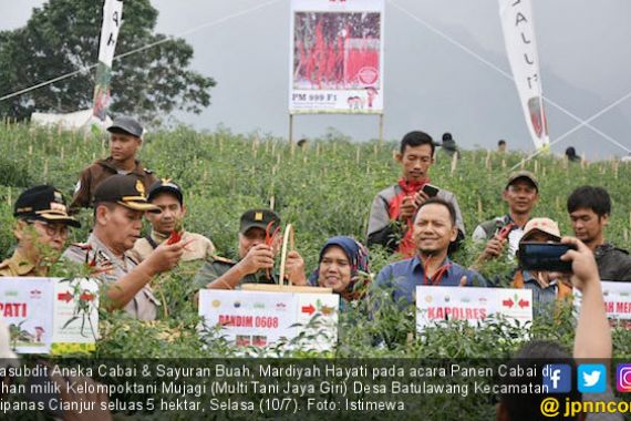 Kementan Mantapkan Cianjur jadi Penyangga Cabai Jabodetabek - JPNN.COM