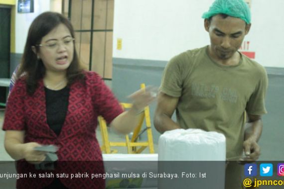 Pemanfaatan Plastik Mulsa Bagi Hortikultura - JPNN.COM