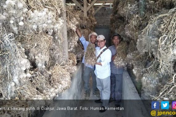Cianjur Siap Jadi Penyangga Benih Bawang Putih di Jawa Barat - JPNN.COM