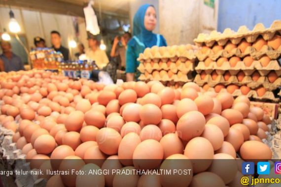 Harga Telur Naik Disebut karena Banyak Warga Hajatan - JPNN.COM