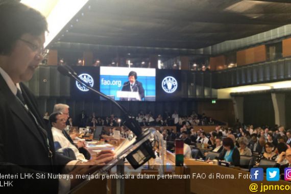 FAO Apresiasi Kebijakan Jokowi di Bidang Kehutanan - JPNN.COM