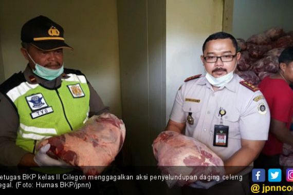 Petugas Gagalkan Penyelundupan Daging Celeng Ilegal - JPNN.COM
