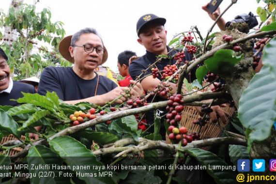 Akhir Pekan, Zulhasan Panen Raya Kopi di Lampung Barat - JPNN.COM