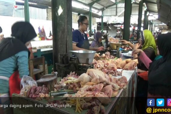 Harga Daging Ayam Makin Bikin Resah - JPNN.COM