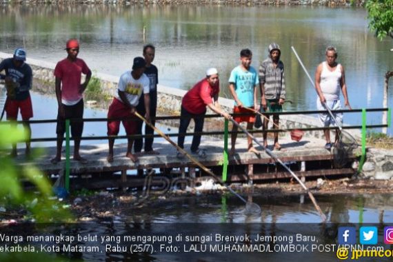 Belut Tiba-tiba Bermunculan, Warga Heran: Ada Apa? - JPNN.COM