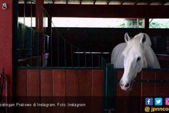 Prabowo Posting Foto Kuda di Instagram, Apa Maksudnya ya? - JPNN.COM