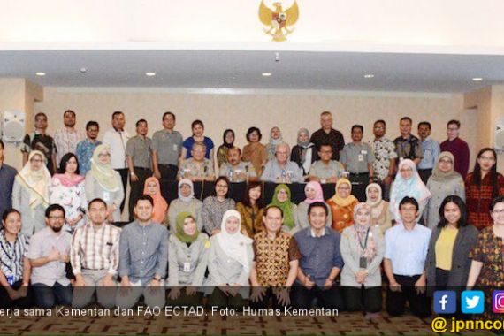 Kementan - FAO Tingkatkan Kewaspadaan Munculnya PIB - JPNN.COM