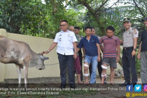 Tiga Pencuri Sapi di Martapura Ambruk Diterjang Peluru - JPNN.COM