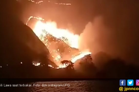 Polda NTT Janji Tuntaskan Kasus Kebakaran Lahan di Gili Lawa - JPNN.COM