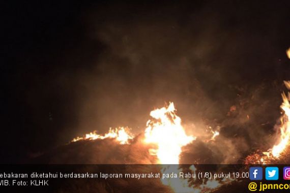 Menteri Siti Nurbaya: Usut Tuntas Kebakaran di Gili Lawa - JPNN.COM