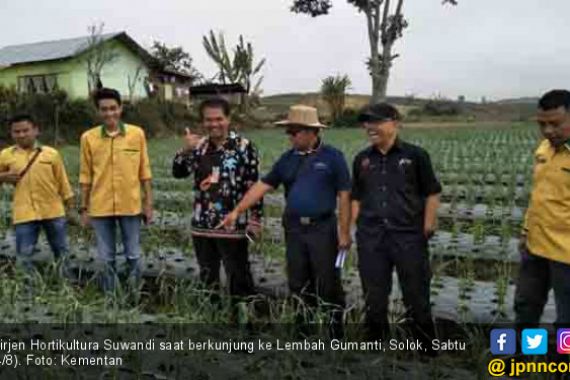 Mentan Sukses Jadikan Solok Tulang Punggung Bawang Sumatera - JPNN.COM