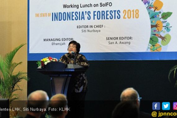 Apresiasi Dunia Untuk Tata Kelola Hutan Indonesia - JPNN.COM