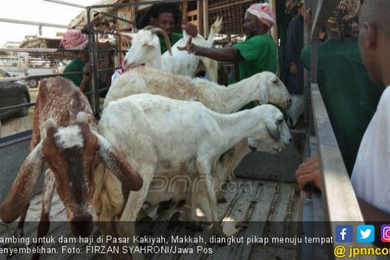 Penipu Sasar Jemaah Haji Indonesia di Makkah, Raup Rp 7 M - JPNN.COM
