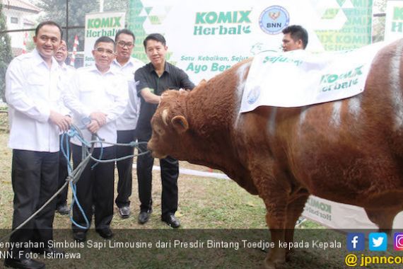 Bintang Toedjoe Serahkan Sapi Limosin pada BNN - JPNN.COM