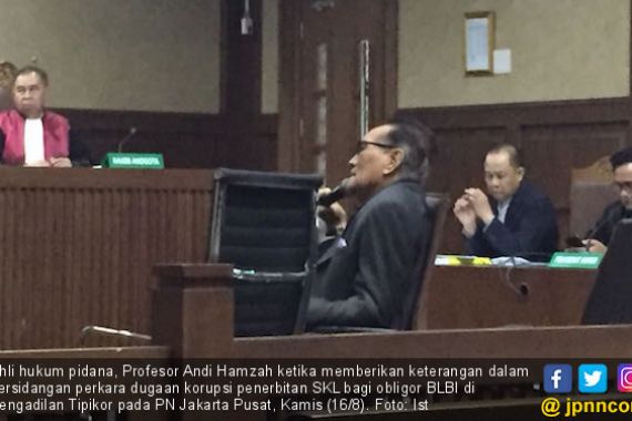 Ahli Hukum: Perkara Syafruddin Temenggung Tidak Masuk Akal - JPNN.COM