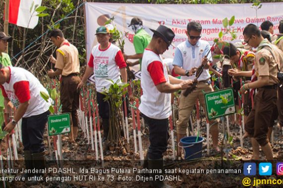 Isi Kemeriahan HUT RI ke 73, KLHK Tanam 800 Batang Mangrove - JPNN.COM