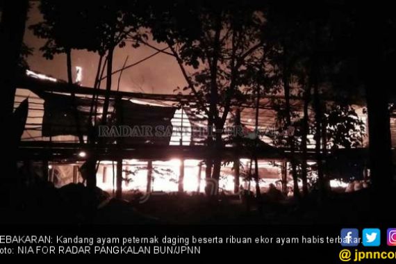 Kebakaran Hebat di Kalimantan, Ribuan Nyawa Melayang - JPNN.COM