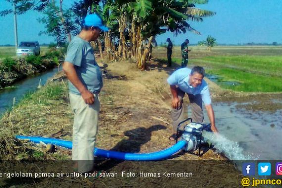 Pengelolaan Pompa Air Selamatkan Padi Sawah di Karawang - JPNN.COM