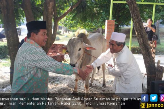 Menteri Amran Berkurban Sapi Lokal 600 Kg - JPNN.COM