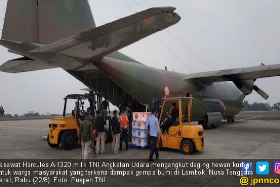 Pesawat Hercules Angkut Daging Kurban untuk Korban Gempa NTB - JPNN.COM