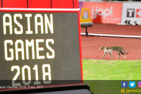 Hukuman Menunggu Cabor yang Gagal di Asian Games 2018 - JPNN.COM