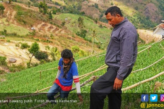 Kementan Tindak Tegas Pengedar Benih Bawang Putih Palsu - JPNN.COM