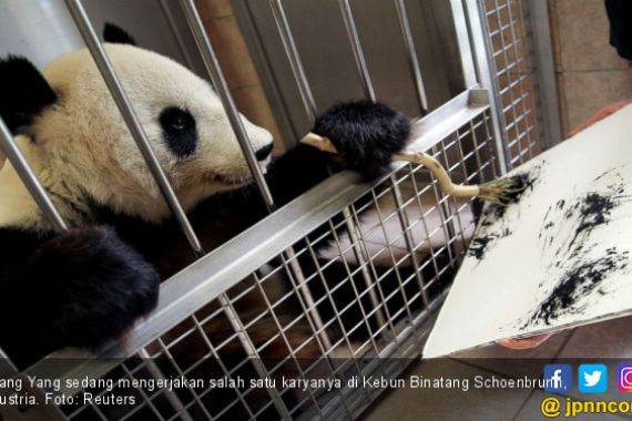 Terungkap, Ini Penyebab Kematian Panda Tiongkok di Kebun Binatang Thailand - JPNN.COM