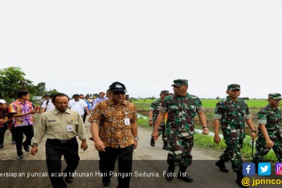 Padi Rawa Siap Panen di Hari Pangan Sedunia 2018 - JPNN.COM