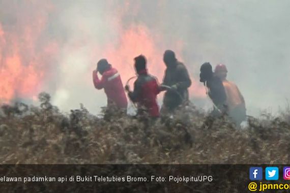 Relawan Turun Tangan Padamkan Api di Bukit Teletubies - JPNN.COM