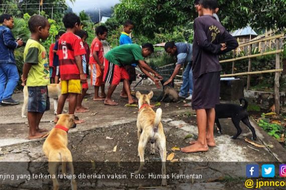 Kementan Upayakan Kejar Target Indonesia Bebas Rabies 2030 - JPNN.COM