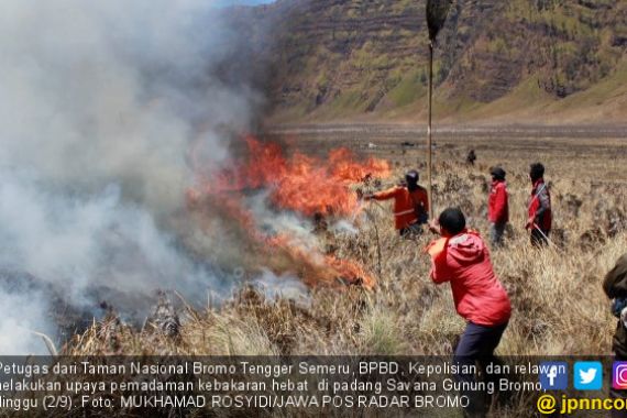 Asap Kebakaran Hutan Bromo Berisiko Picu Gangguan Pernapasan - JPNN.COM