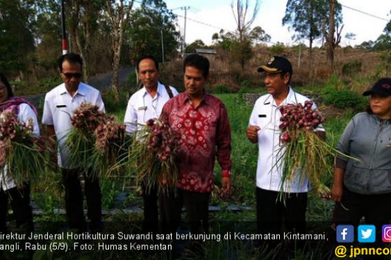 Kementan Sukses Jadikan Bangli Pemasok Bawang Merah Bali - JPNN.COM