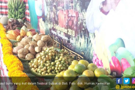 Festival Subak Karangasem Jadi Ajang Promosi Hortikultura - JPNN.COM