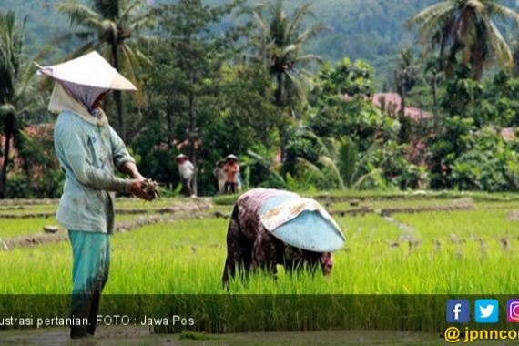 Kolaborasi Kunci Sukses Pertanian Jatim - JPNN.COM