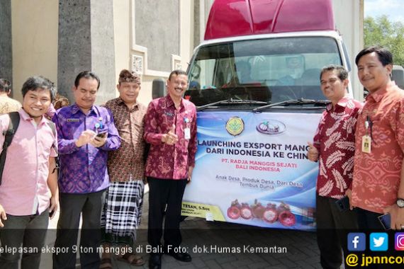 Ekspor Manggis, Mentan: Pertanian Indonesia punya Daya Saing - JPNN.COM