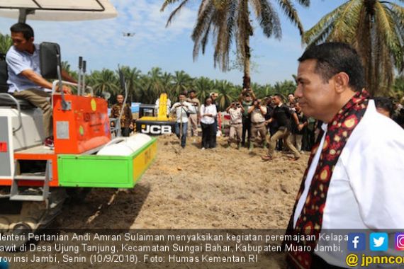 Peremajaan Sawit untuk Jaga Keberlanjutan Pendapatan Petani - JPNN.COM