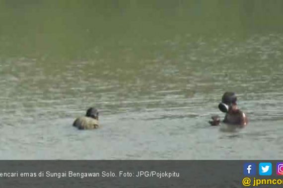 Musim Kemarau, Pencari Emas Sibuk di Sungai Bengawan Solo - JPNN.COM