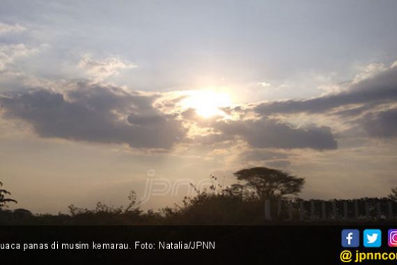 Panas! Hari Ini Suhu di Bogor Mencapai 37 Derajat Celsius - JPNN.COM