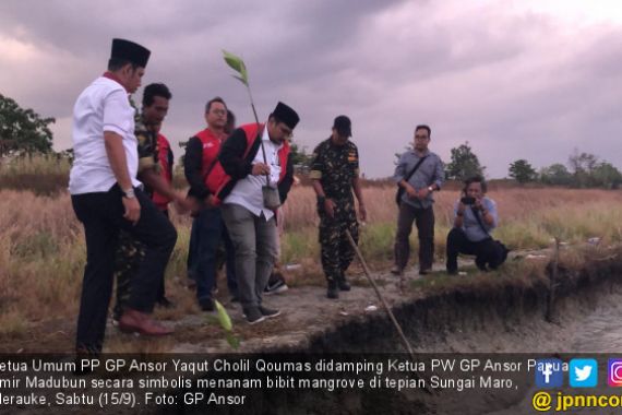 Tim Kirab Satu Negeri GP Ansor Tanam 1.000 Mangrove di Papua - JPNN.COM