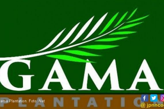 Gama Plantation: Kebakaran Lahan Bukan di Area Perusahaan - JPNN.COM