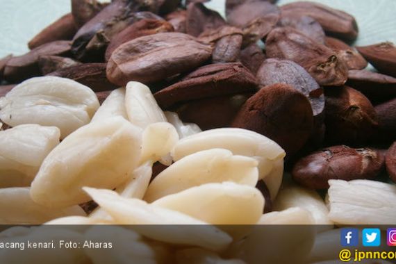 14 Khasiat Rutin Makan Kacang Kenari, Cegah Serangan Penyakit Kronis Ini - JPNN.COM