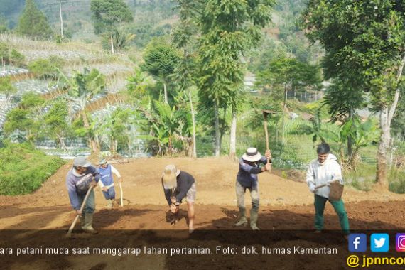 Food Estate Buka Peluang Merealisasikan Kemandirian Pangan Indonesia - JPNN.COM