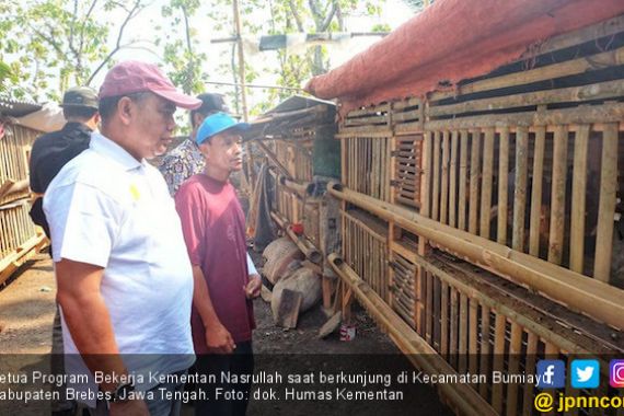 Program BEKERJA Beri Harapan Baru Pengentasan Kemiskinan - JPNN.COM