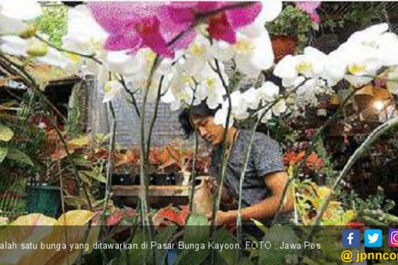 Pasar Bunga Kayoon Tetap Menjanjikan - JPNN.COM