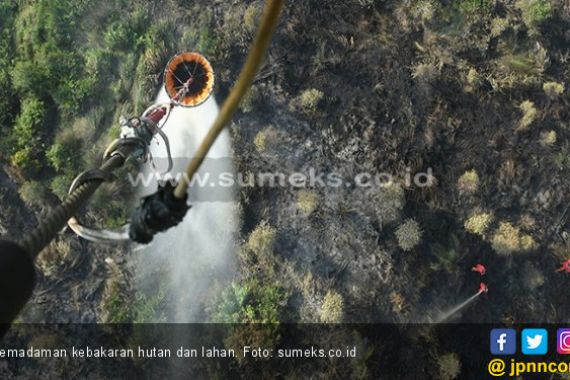 Status Tanggap Darurat Kebakaran Hutan di Gunung Arjuno Dicabut - JPNN.COM
