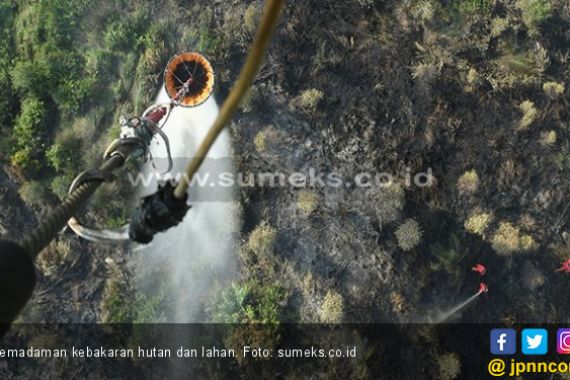 Padamkan Karhutla di Jambi, BPBD Lakukan 48 Kali Bom Air - JPNN.COM