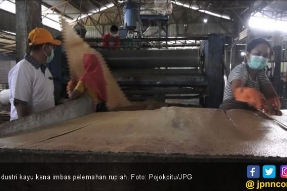 Pengusaha Kayu Tergerus Dampak Melemahnya Rupiah - JPNN.COM