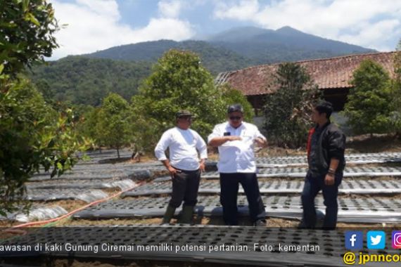 Kementan Bangkitkan Kawasan Bawang Putih di Lereng Ciremai - JPNN.COM