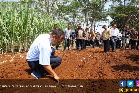 Mentan Ingin Jadikan Kepri Sebagai Provinsi Mandiri - JPNN.COM