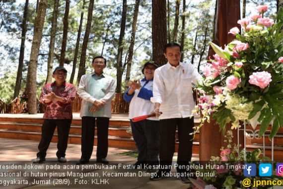 Presiden: Hutan Berperan Sebagai Sumber Penghidupan Rakyat - JPNN.COM